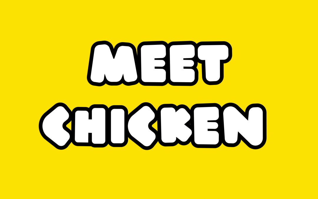 Meet Chicken
